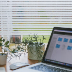 Dc fix CLARITY Premium Static Cling Vinyl Window Film