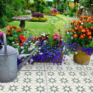Stencil It STARDUST Reusable Tile Stencil for Walls, Floors, Patios and Furniture
